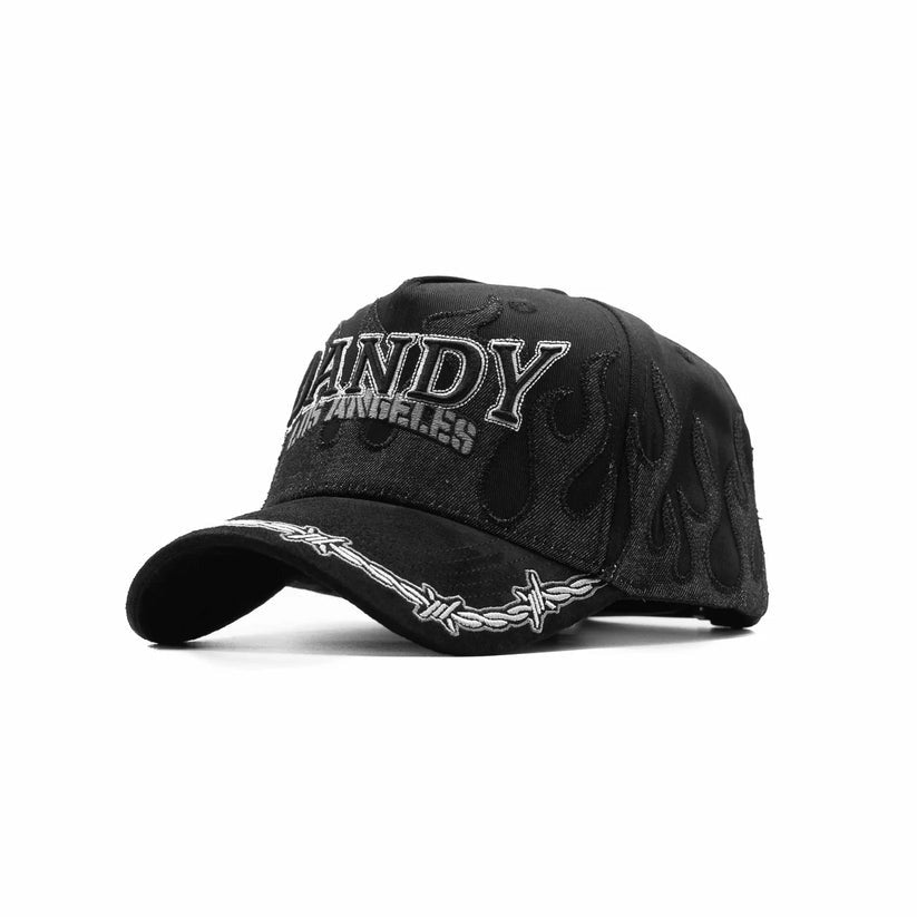 DANDY "STAY OUT"